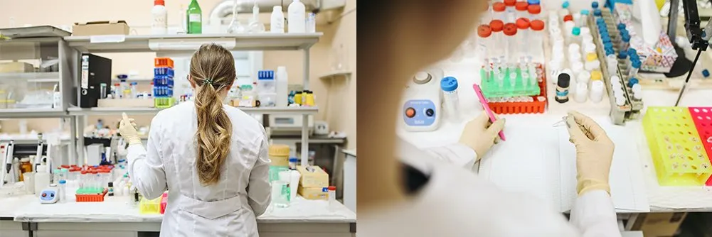 pexels-polina-tankilevitch-3735781 application